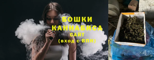 spice Инсар