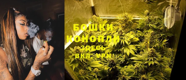 spice Инсар